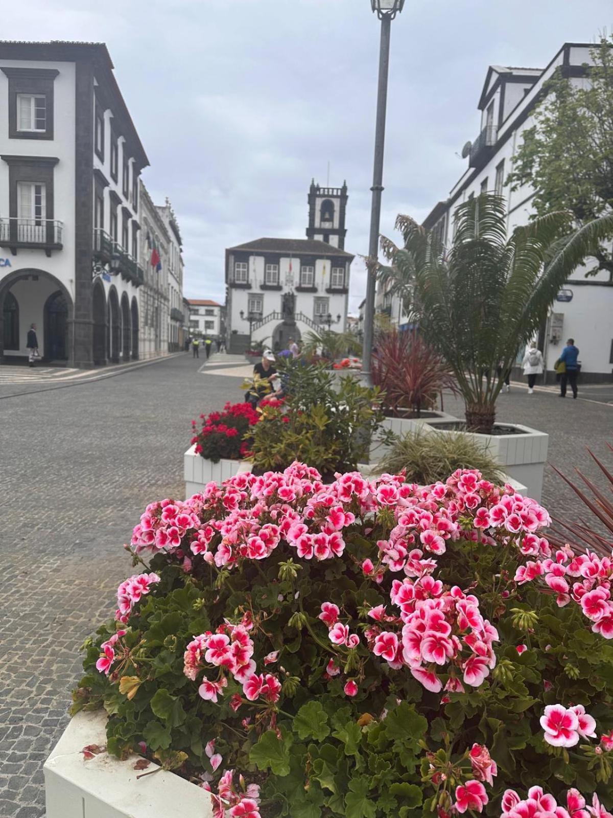 Azor International Apartment I Ponta Delgada  Exterior photo